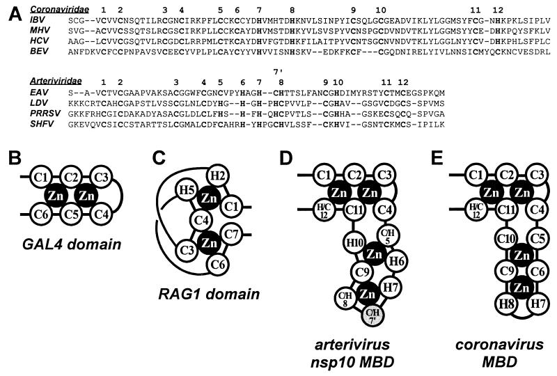 FIG. 4