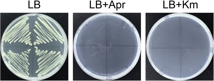 Figure 3