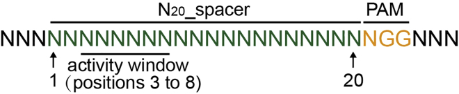 Figure 6