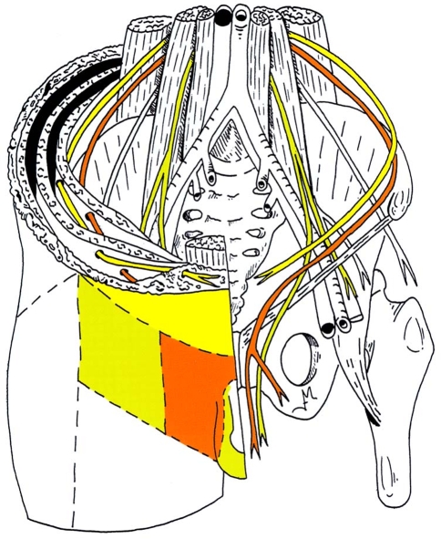 Fig. 5