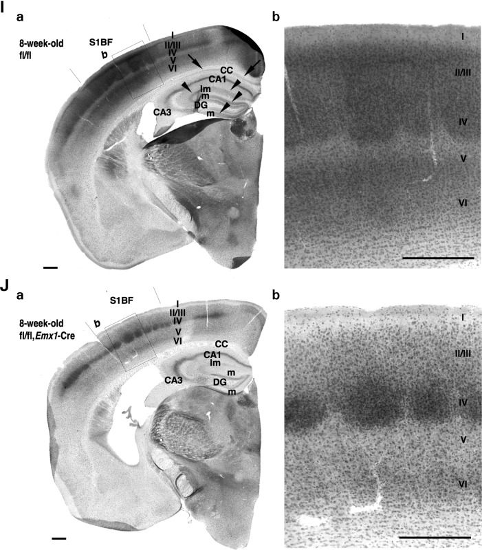 Figure 6.