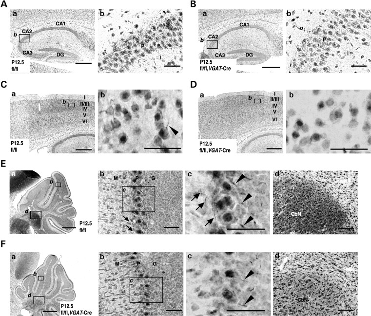 Figure 4.