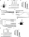 Figure 3.