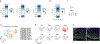 Extended Data Fig. 4