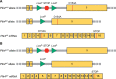 Figure 6—figure supplement 3.