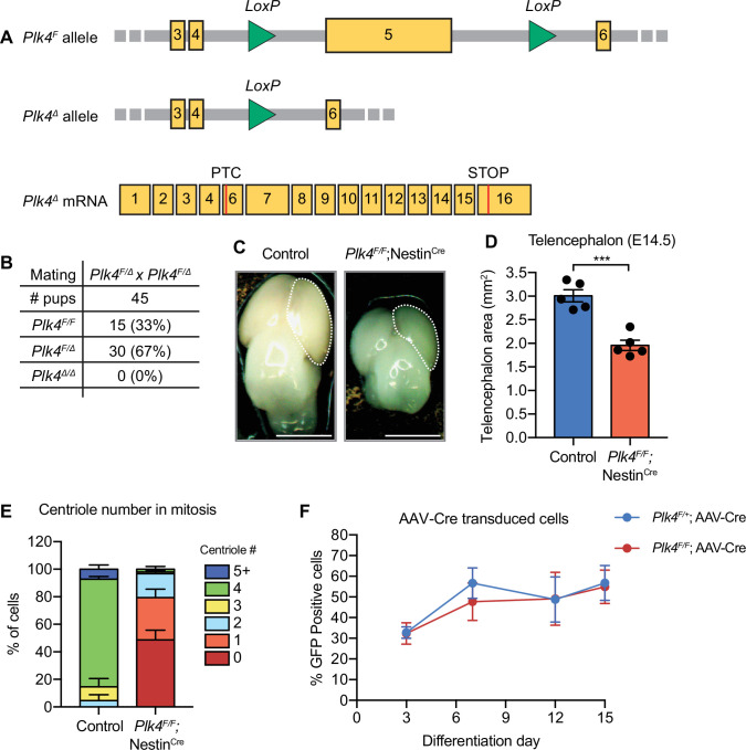 Figure 1—figure supplement 1.