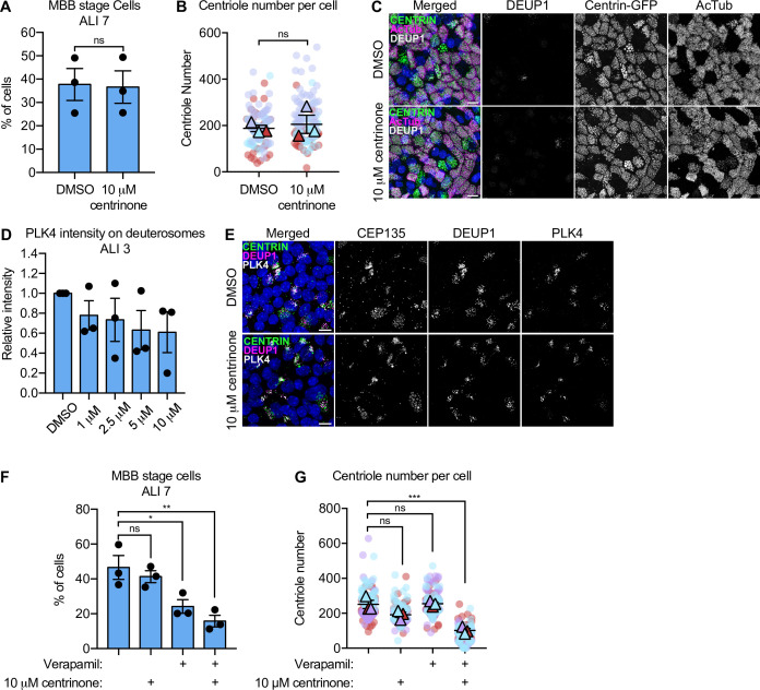 Figure 6—figure supplement 2.