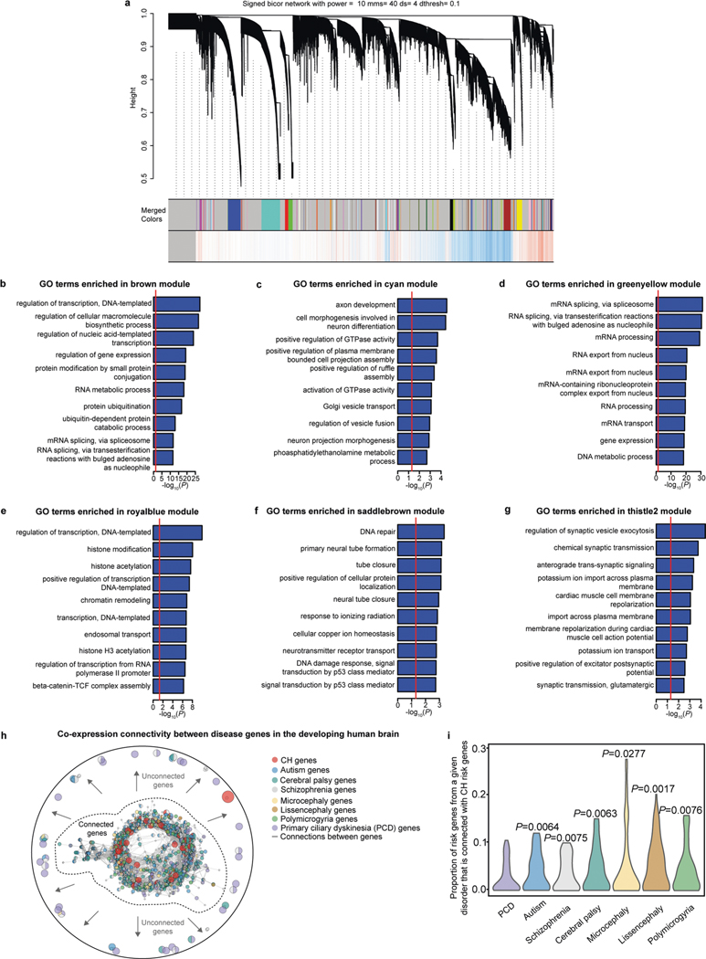 Extended Data Fig. 2 |