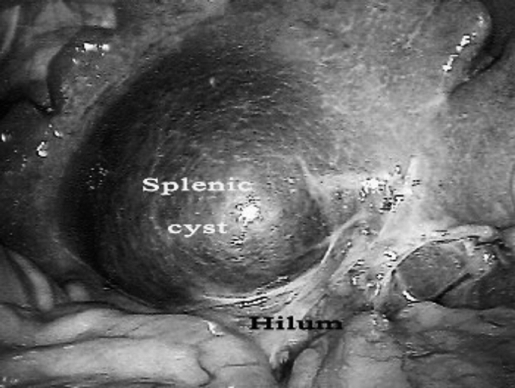 Figure 5.