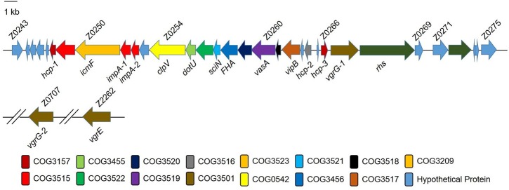 Fig 1