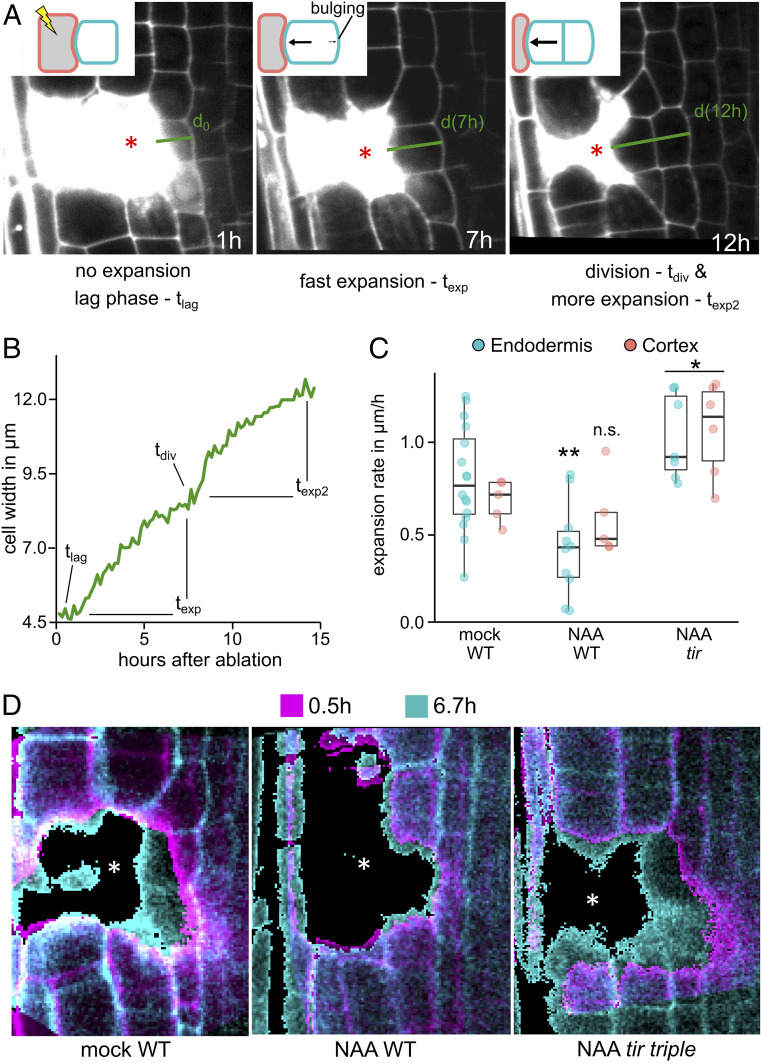 Fig. 3.