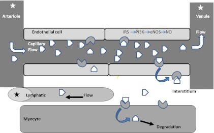 FIG. 1.