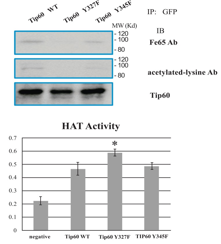 Fig. (2)