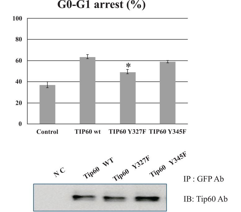 Fig. (4)