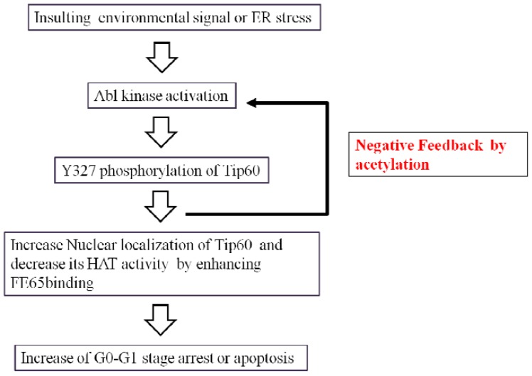 Fig. (5)