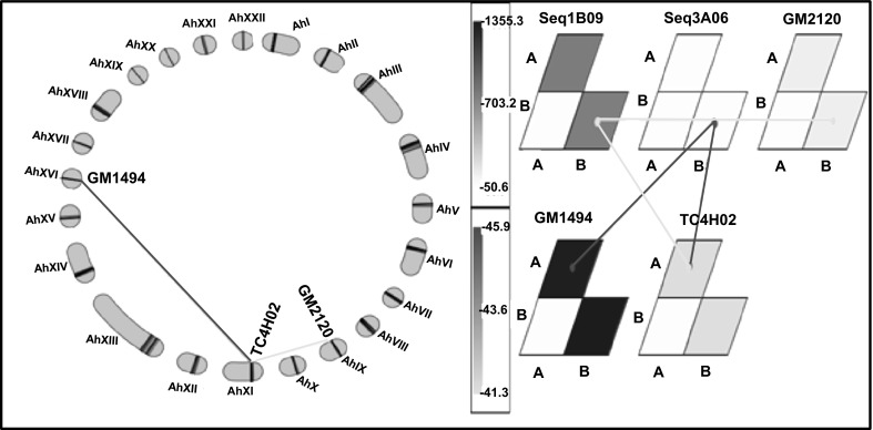 Fig. 5