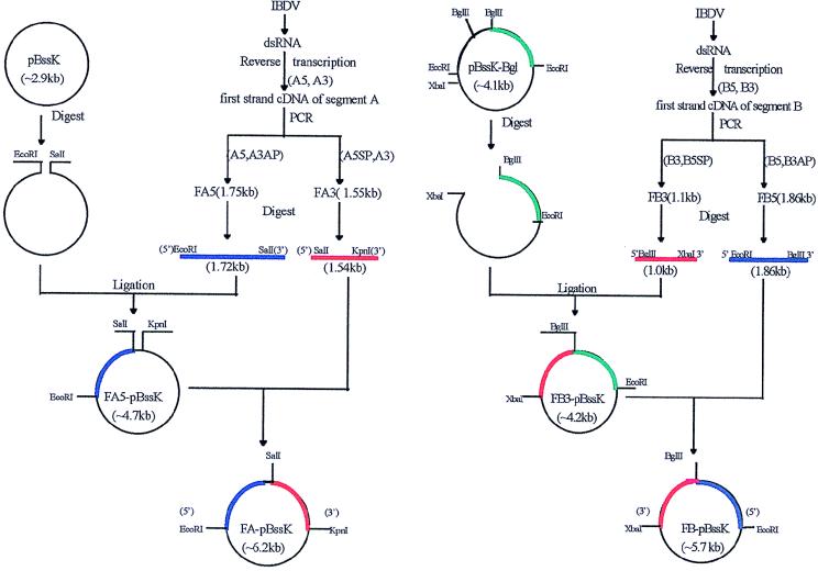 FIG. 1
