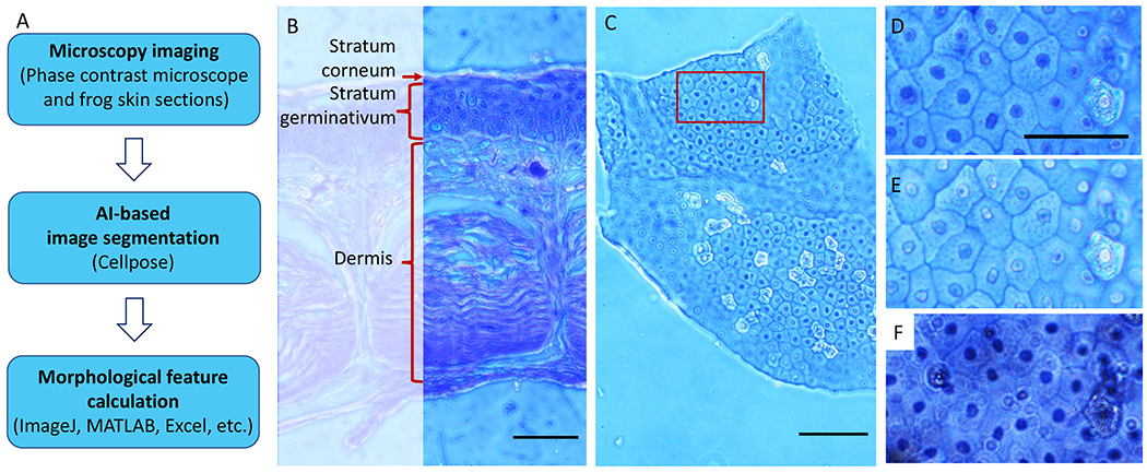 Fig 2.