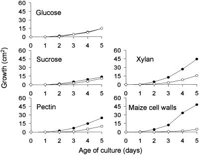 Figure 5.