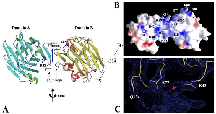 FIGURE 3