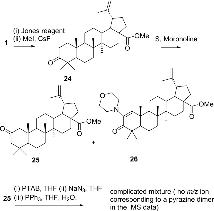 Scheme 4