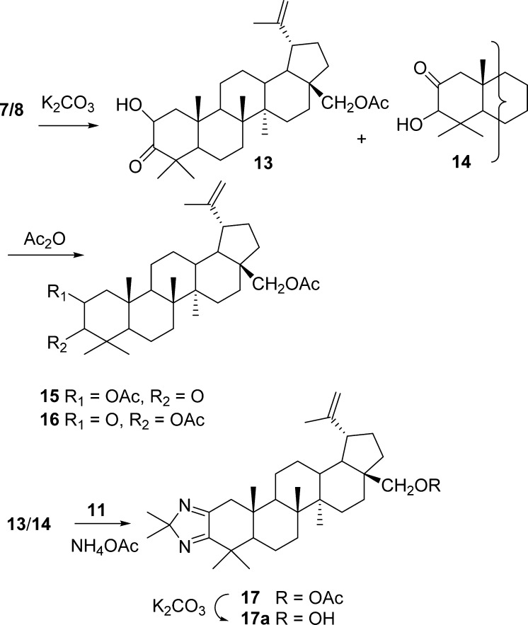 Scheme 2