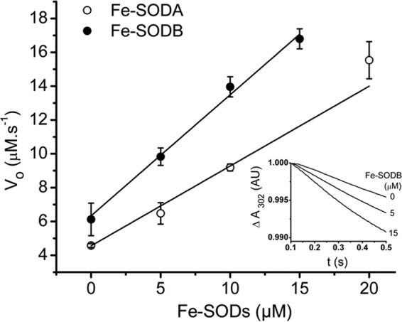 FIGURE 2.