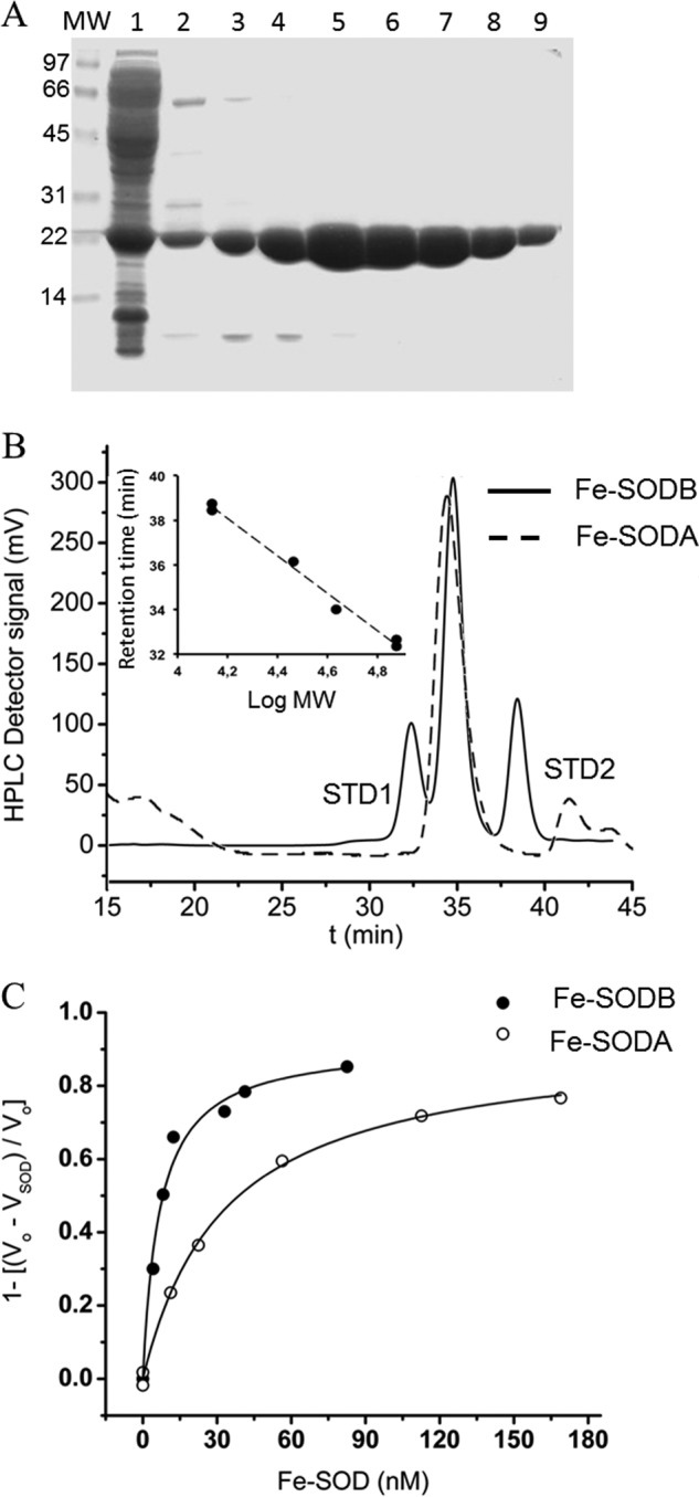 FIGURE 1.