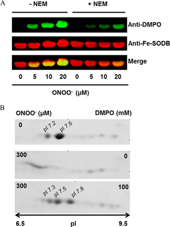 FIGURE 9.