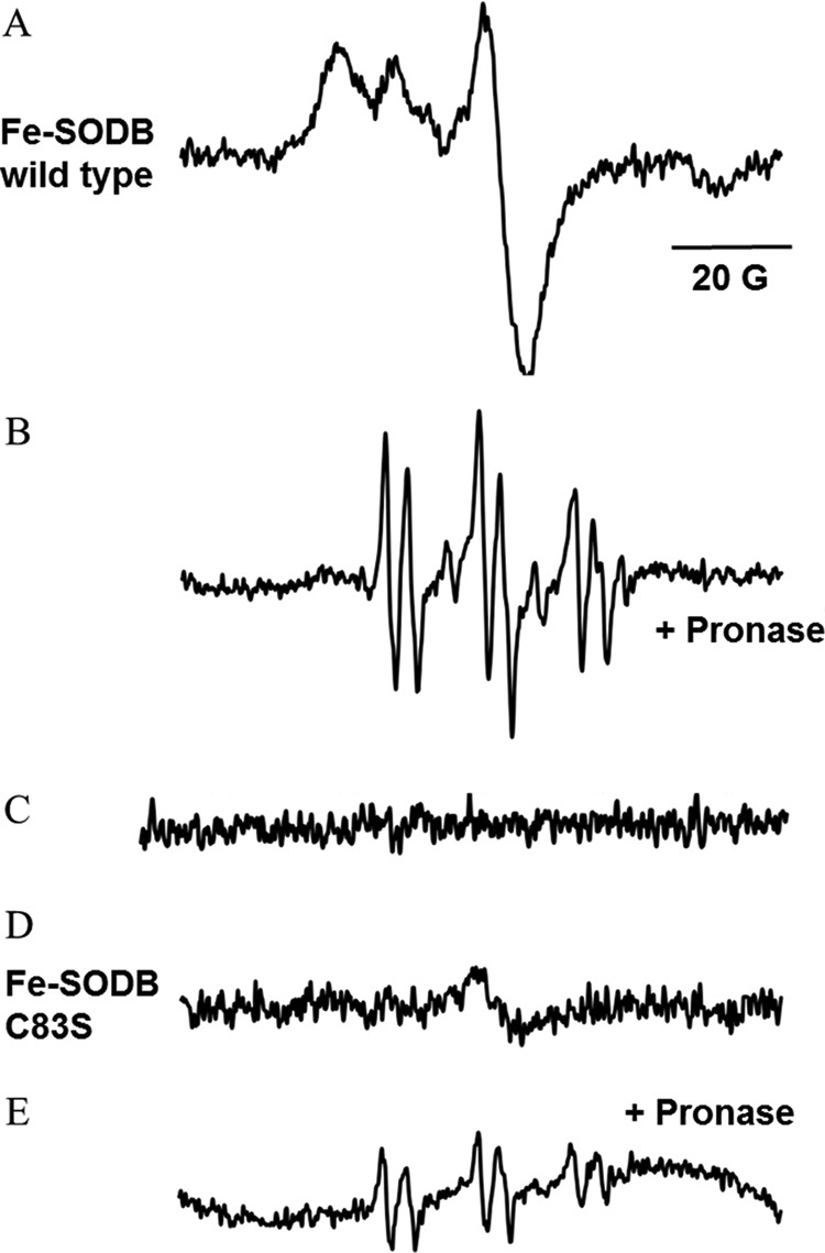 FIGURE 10.