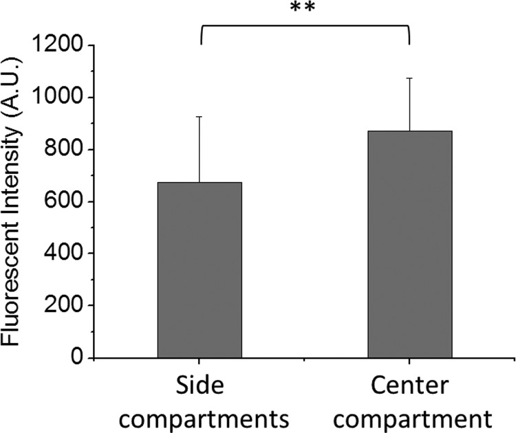 FIG. 7.