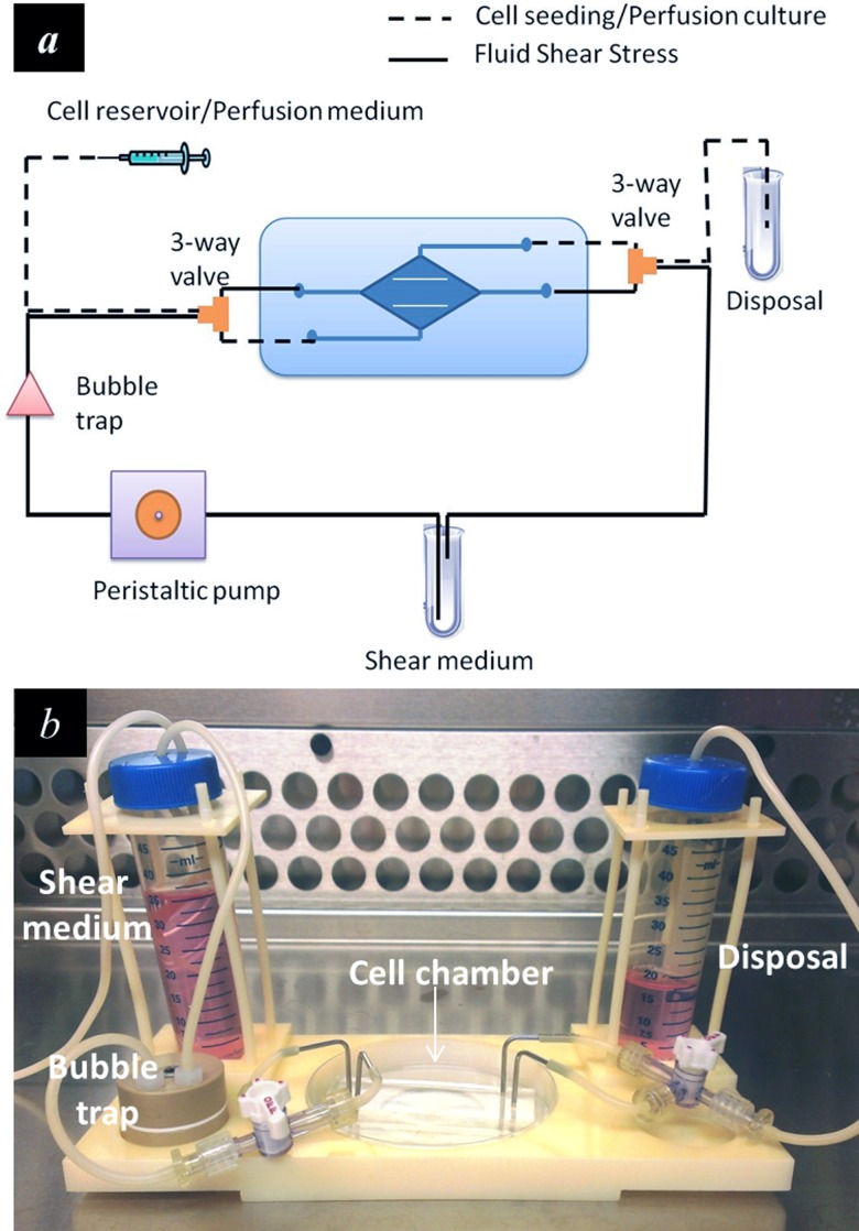 FIG. 3.