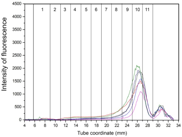 Figure 7.