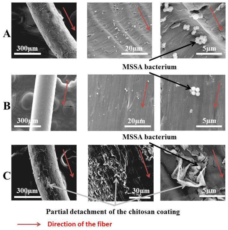 Figure 17