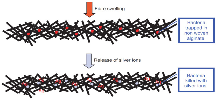 Figure 15