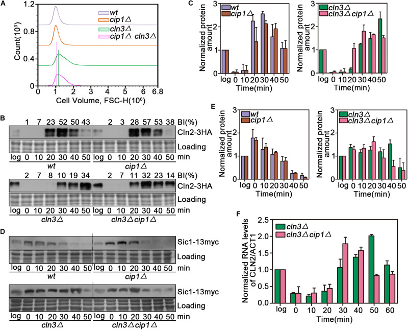 FIGURE 2