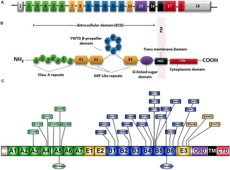 FIGURE 1