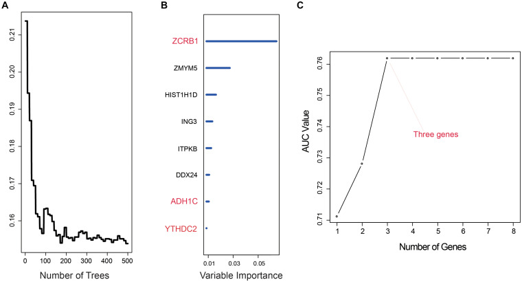 FIGURE 1