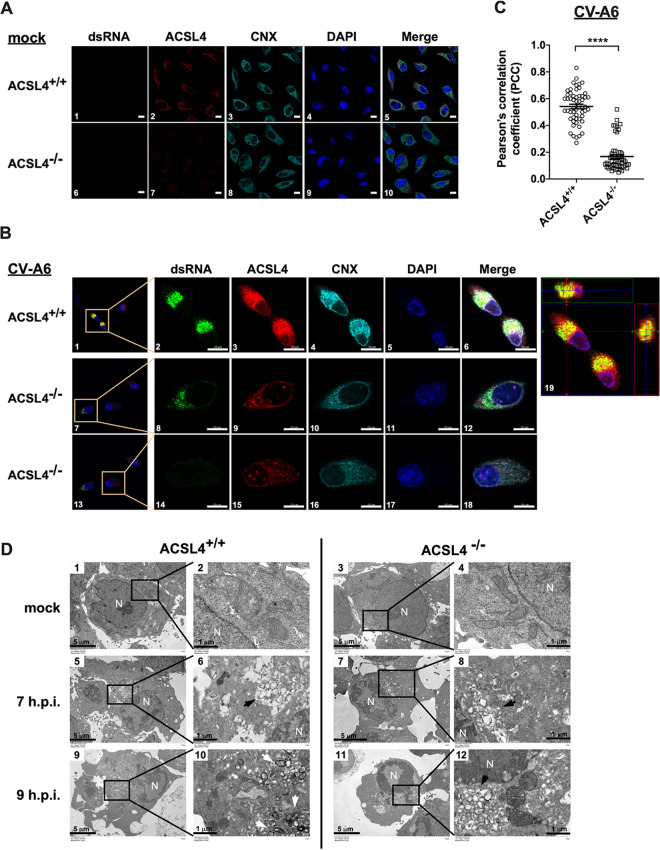 FIG 3