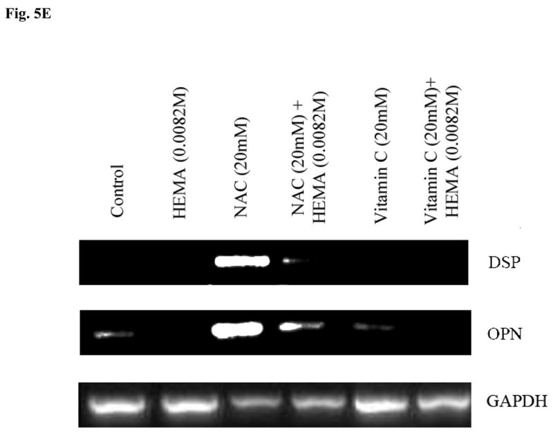 Fig-5