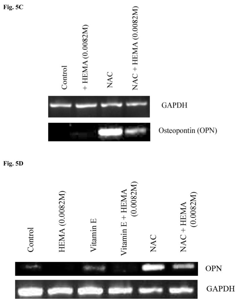 Fig-5