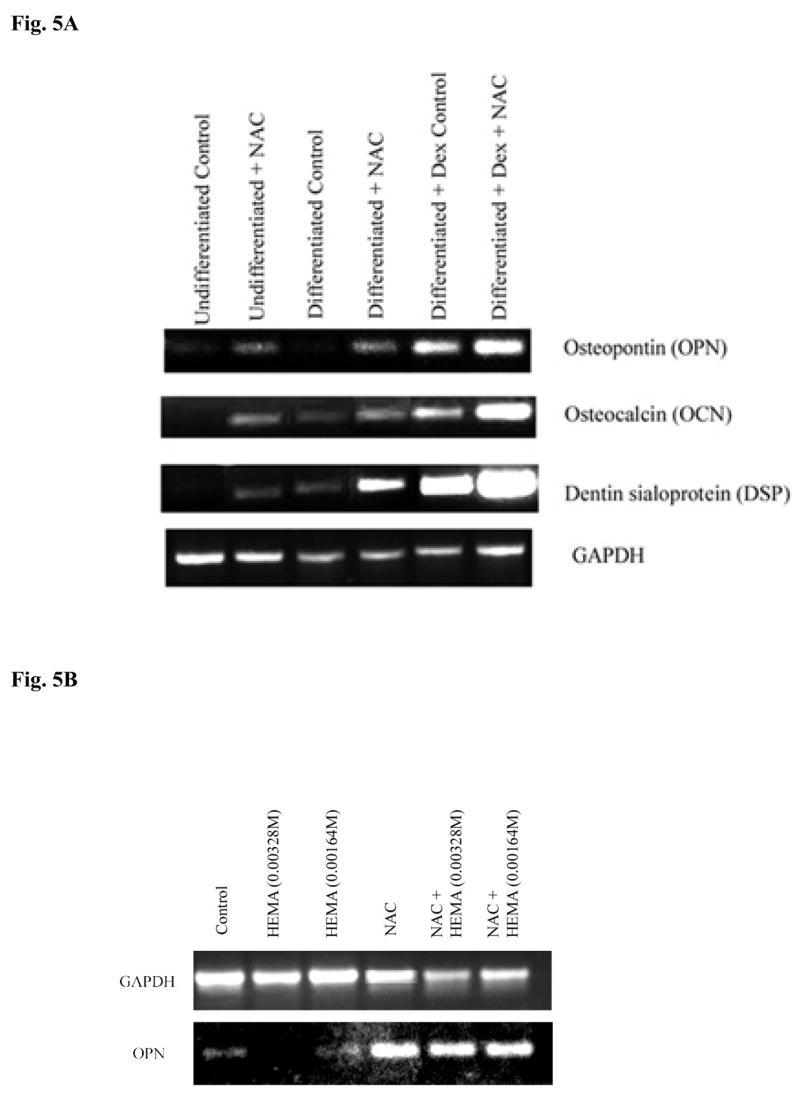 Fig-5