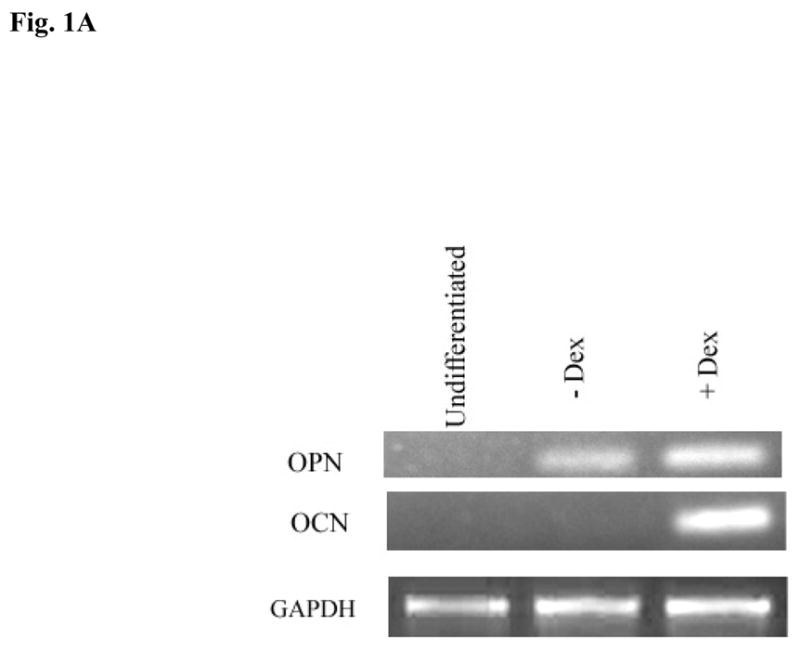 Fig-1