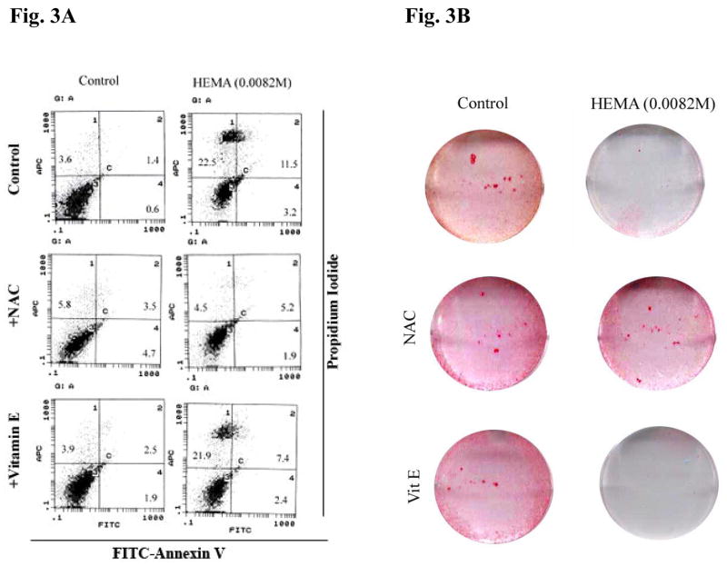 Fig-3