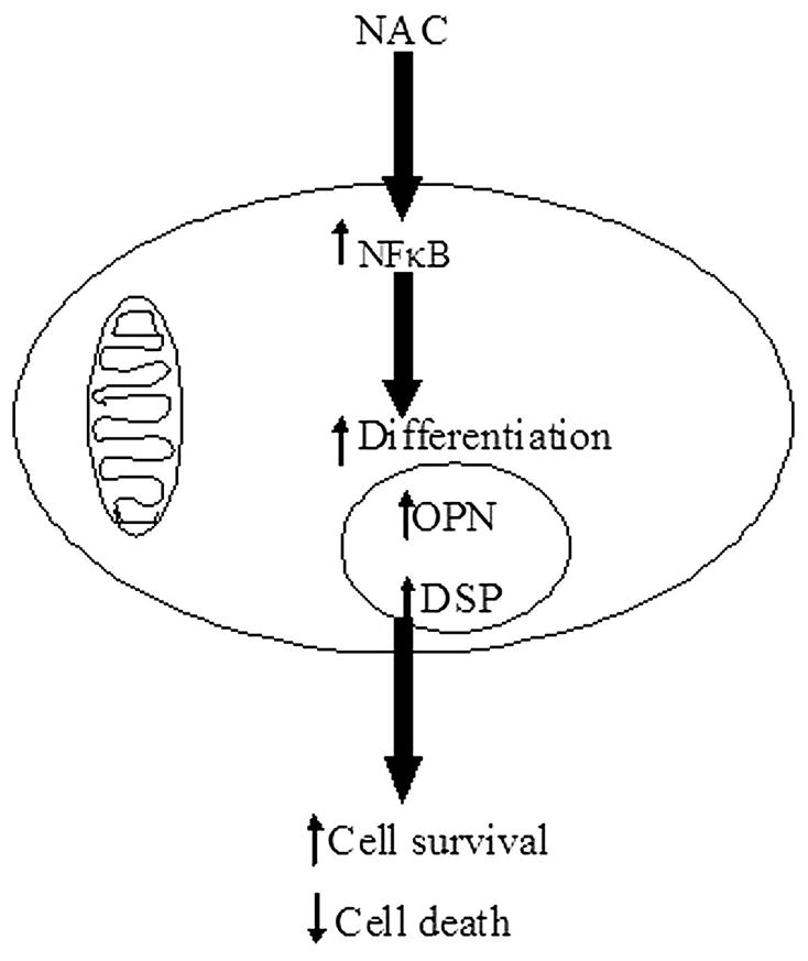 Fig-8