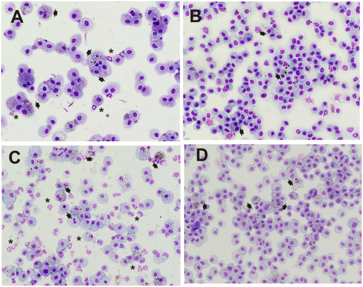 Fig. 11