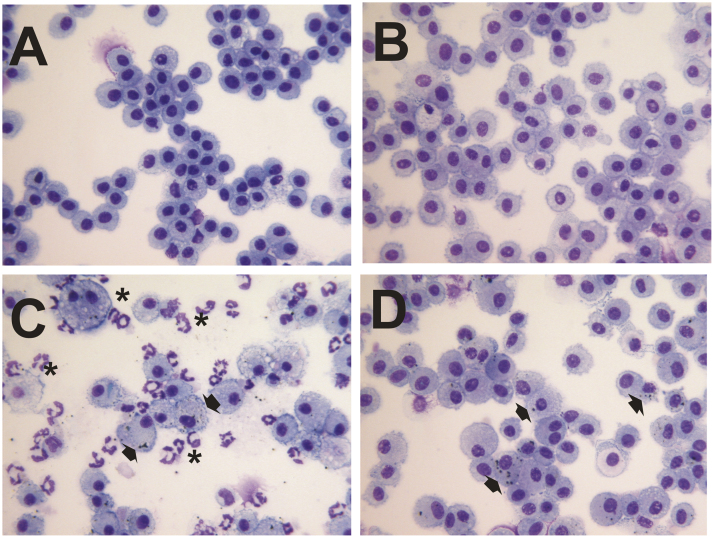 Fig. 10