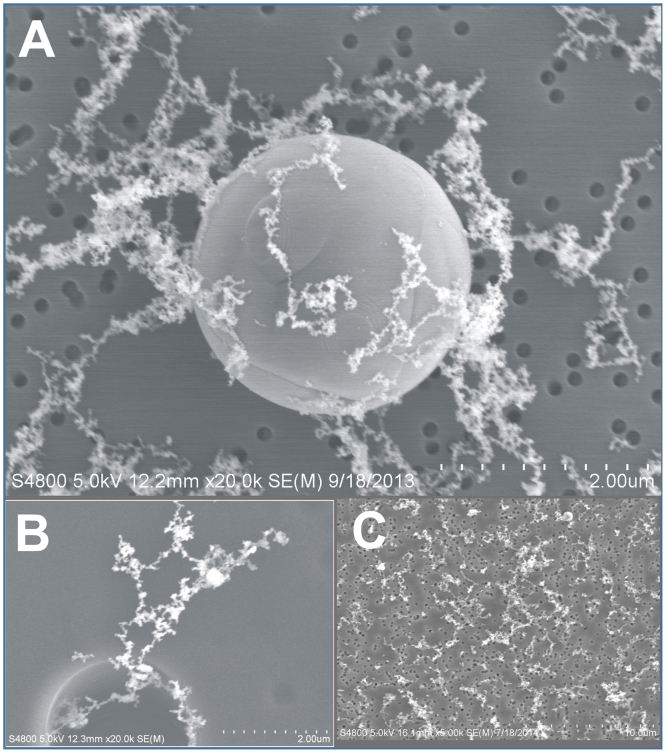 Fig. 5