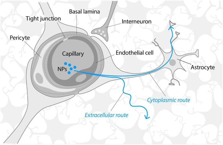 FIGURE 3