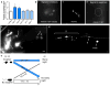 Extended Data Figure 6